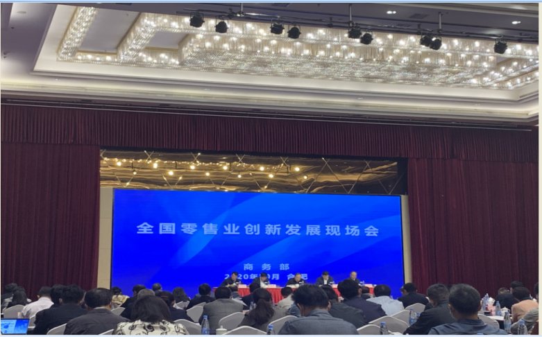 國美戰(zhàn)略獲政府肯定 成為引領(lǐng)行業(yè)發(fā)展新典范