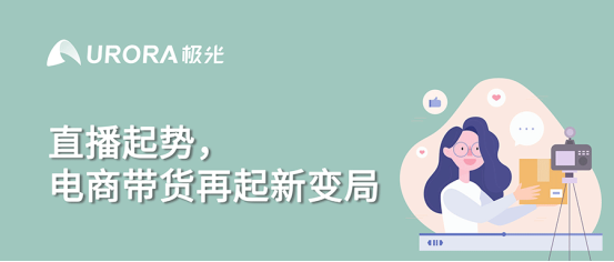 極光:2020雙十一電商行業研究報告