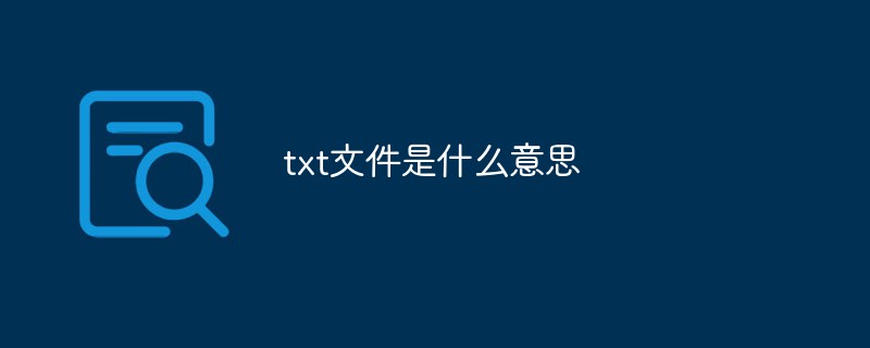 txt文件是什么意思