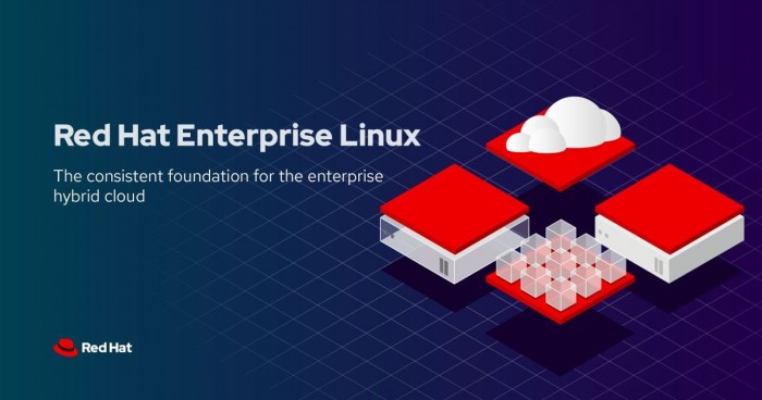 RHEL 8.3穩定版發布：默認禁用TSX 引入諸多新驅動