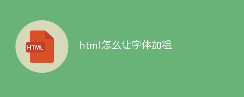 html怎么讓字體加粗