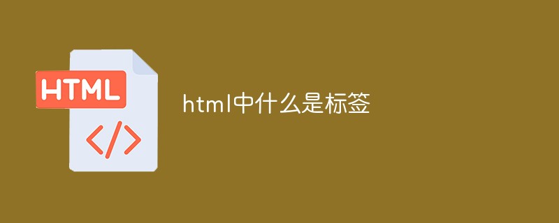 html中什么是標(biāo)簽