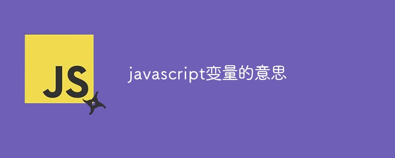 javascript變量的意思