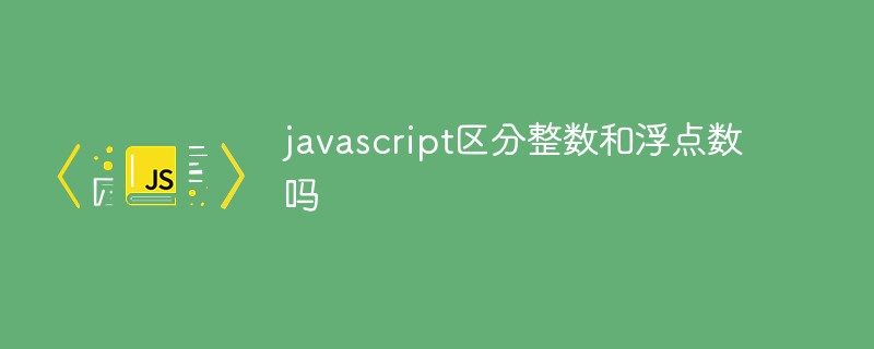 javascript區(qū)分整數(shù)和浮點數(shù)嗎