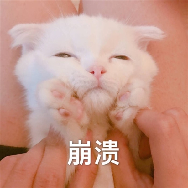 直擊用戶痛點(diǎn)！來畫這兩個(gè)新神器或?qū)⑻嵘最I(lǐng)80%工作效率