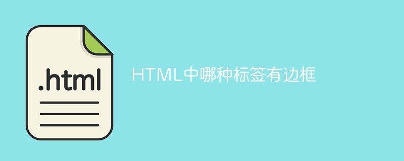 HTML中哪種標(biāo)簽有邊框