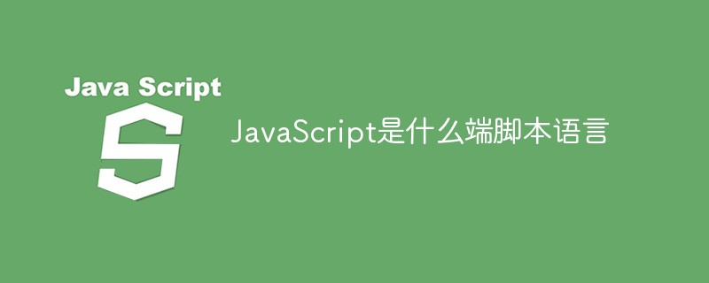 JavaScript是什么端腳本語言