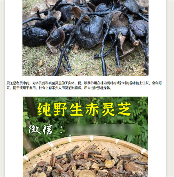 做網(wǎng)站,還是大有可為!