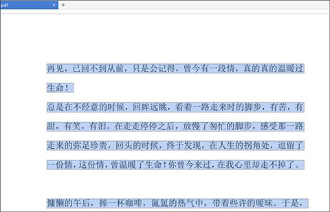 怎么把pdf文件轉換成word 把pdf文件轉換成word的方法