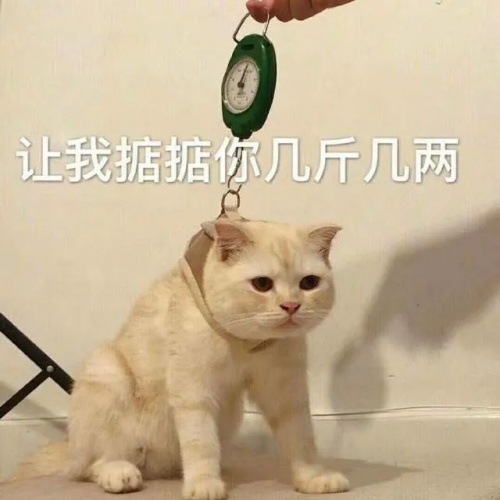 【實(shí)驗(yàn)室】安卓與iOS性能全方位PK，能打得過嗎？