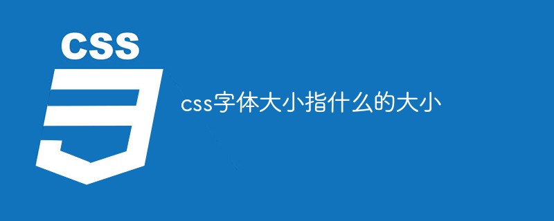 css字體大小指什么的大小