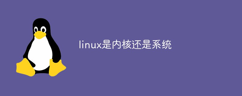 linux是內核還是系統