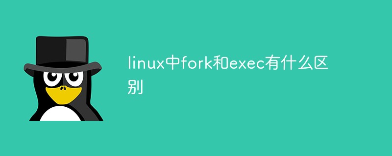 linux中fork和exec有什么區別