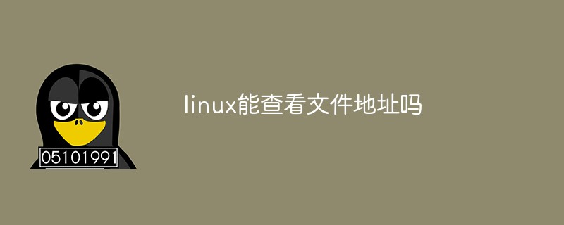 linux能查看文件地址嗎