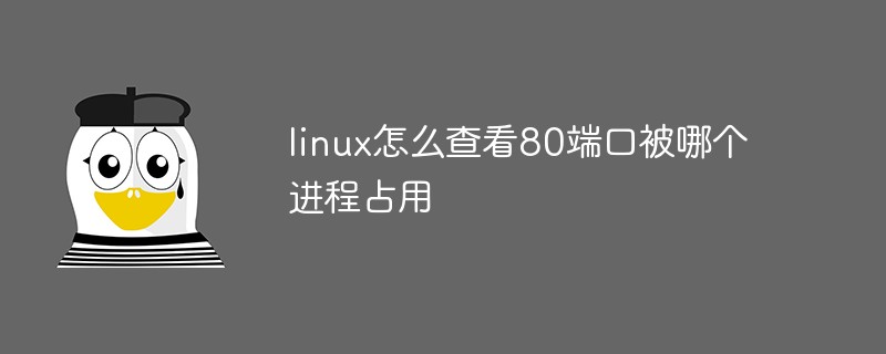 linux怎么查看80端口被哪個進程占用