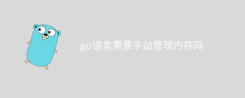 go語言需要手動管理內存嗎