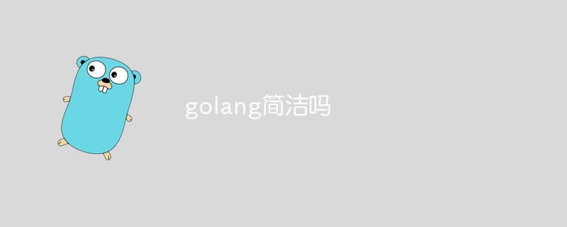 golang簡(jiǎn)潔嗎