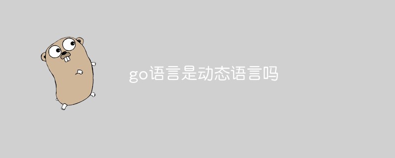 go語言是動態語言嗎