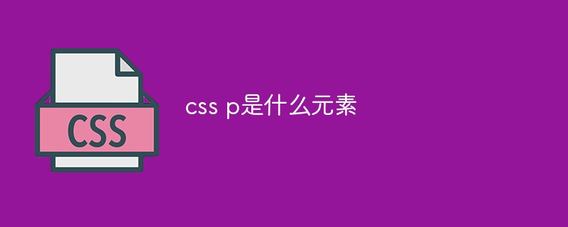 css p是什么元素