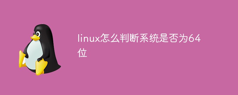 linux怎么判斷系統(tǒng)是否為64位
