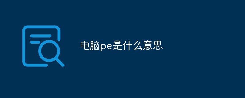 電腦pe是什么意思