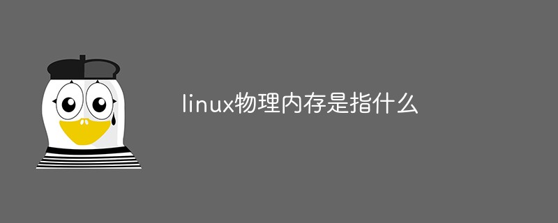 linux物理內存是指什么