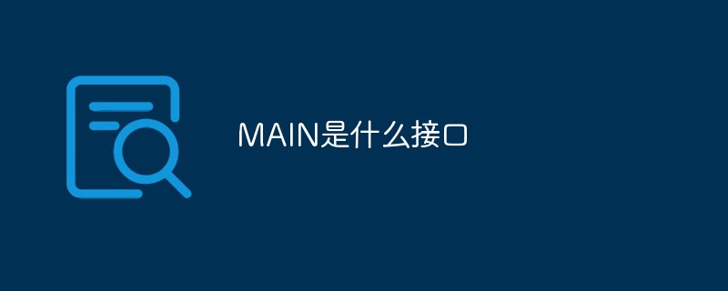 MAIN是什么接口