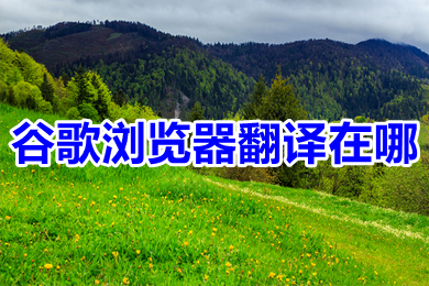 谷歌瀏覽器翻譯在哪 谷歌瀏覽器翻譯網頁功能在哪里設置