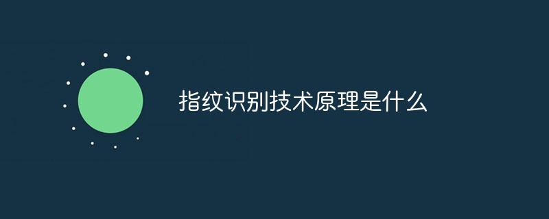 指紋識別技術原理是什么
