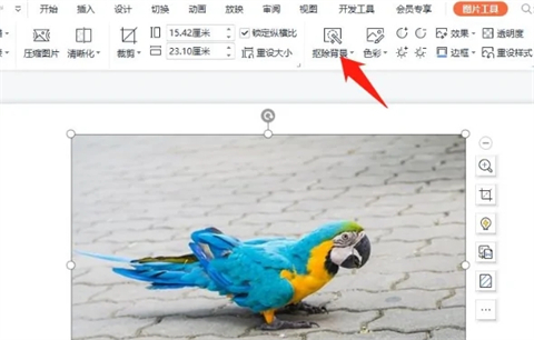 ppt怎么摳圖 ppt如何摳圖