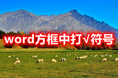 word方框中打&radic;符號 word方框&radic;怎么打