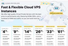 德國(guó)VPS云服務(wù)器選哪個(gè)好 提供原生IP的德國(guó)VPS廠商推薦-站長(zhǎng)資訊網(wǎng)