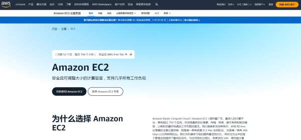 適合搭建印度尼西亞Tiktok直播環(huán)境的VPS云服務(wù)器有哪些