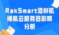 RakSmart洛杉磯裸機云服務器影響分析-站長資訊網